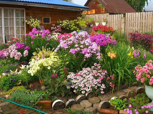 Как сделать сад круглый год цветущим и зеленым
